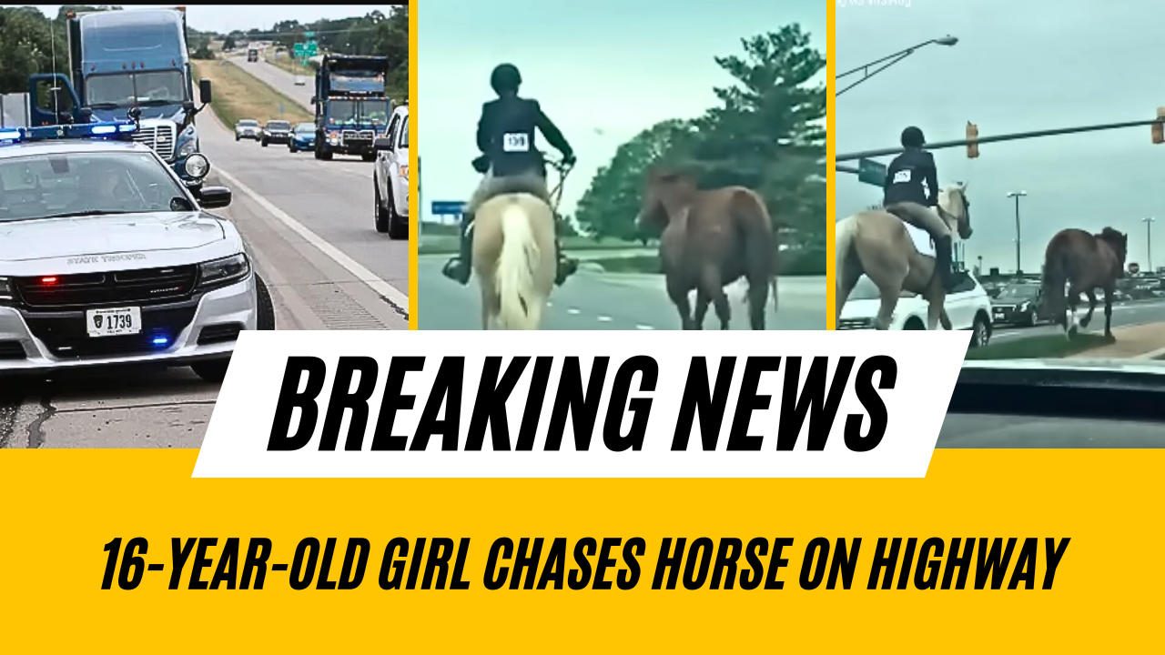 16-Year-Old's Highway Horse Chase