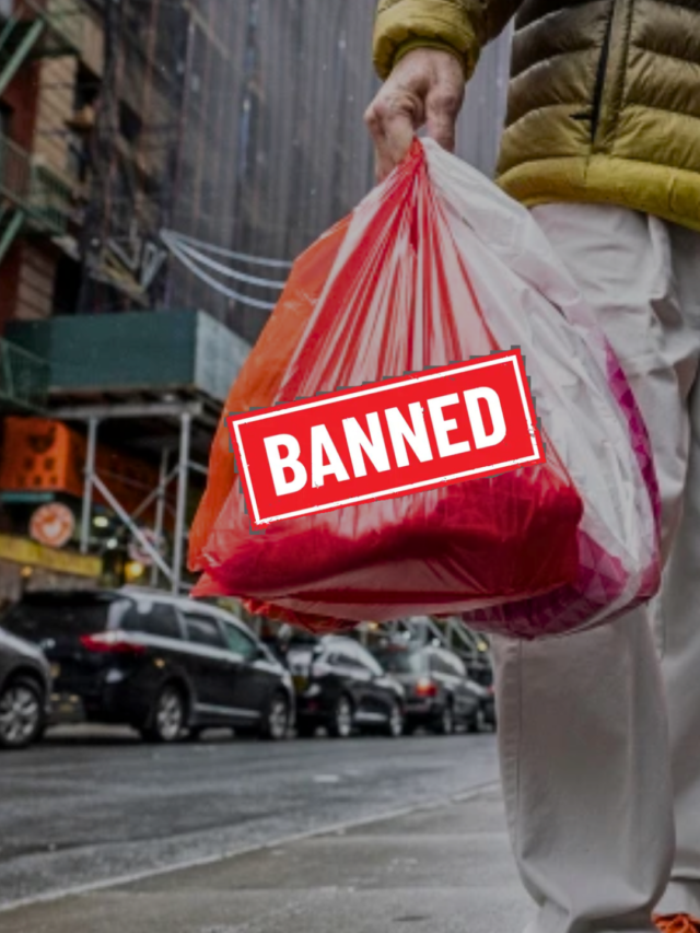 10 Reasons New Jersey Banned Plastic and Paper Bags